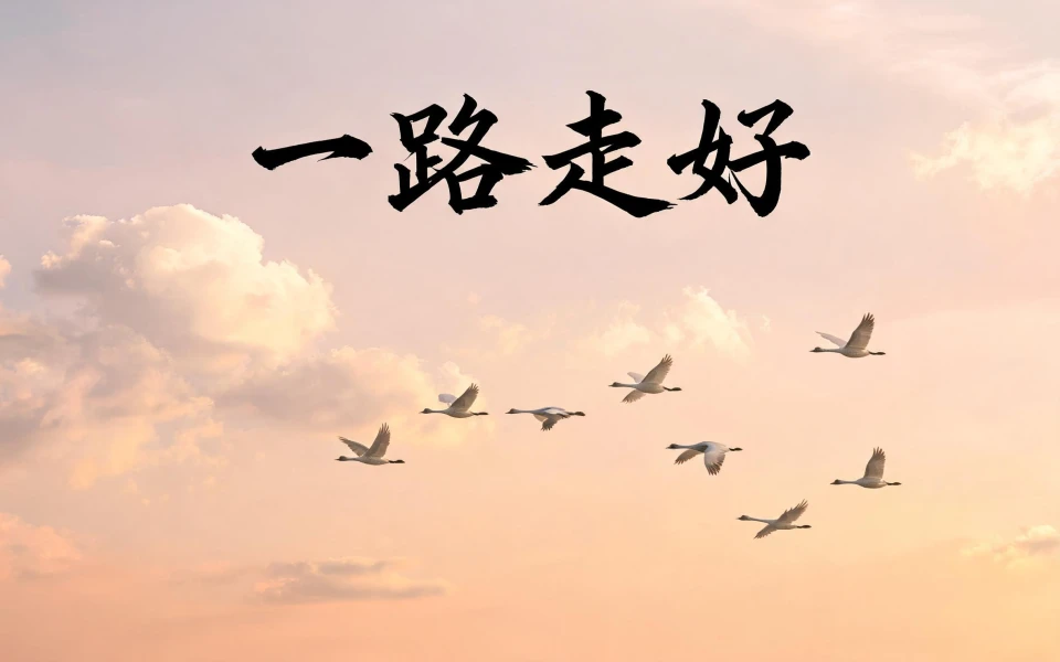 二舅一路走好